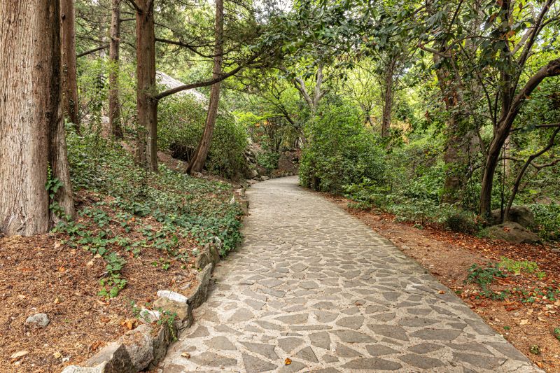 Stone Walkway Repair in Spartanburg, SC