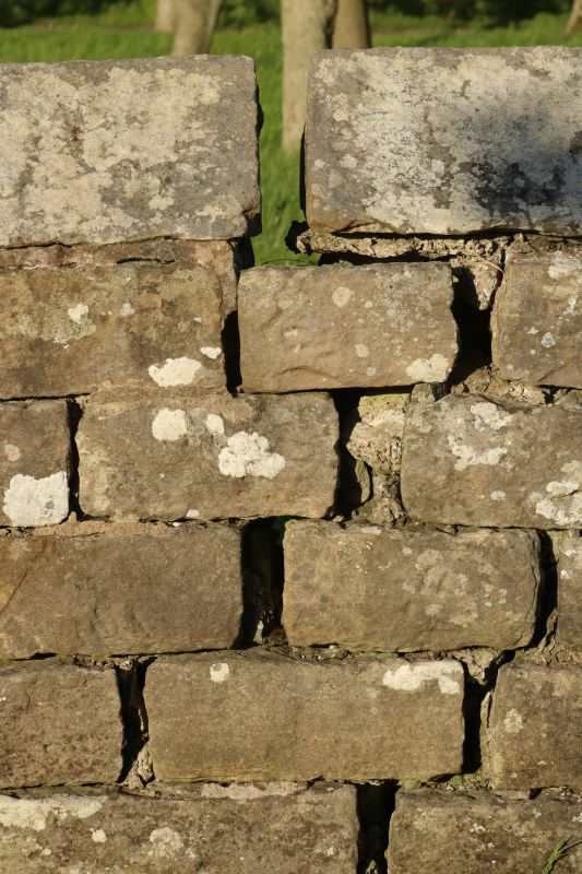 Stone Wall Repair in Landrum, SC